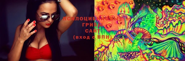 стафф Богородицк